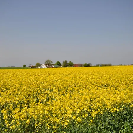 Nr 150 - An't Deep בית נופש