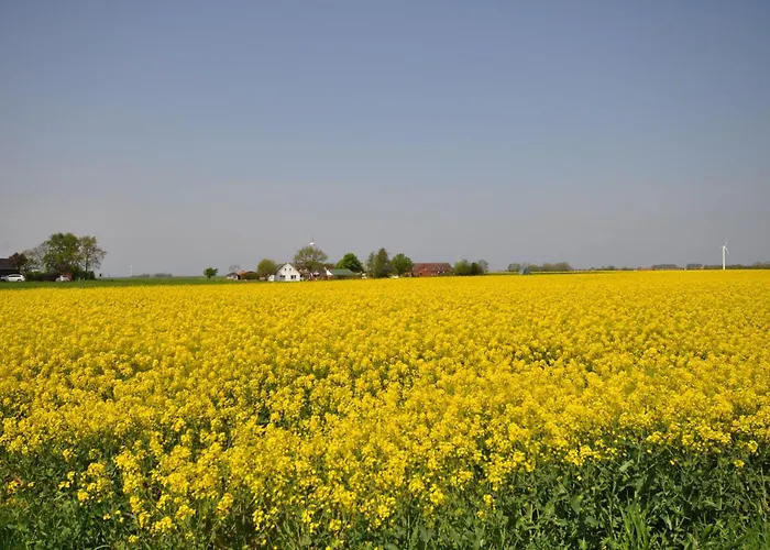 Nr 150 - An't Deep Dom wakacyjny