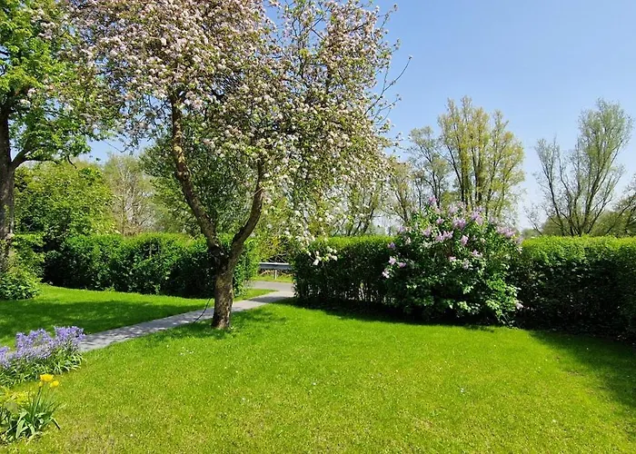 Nr 150 - An't Deep Dom wakacyjny *